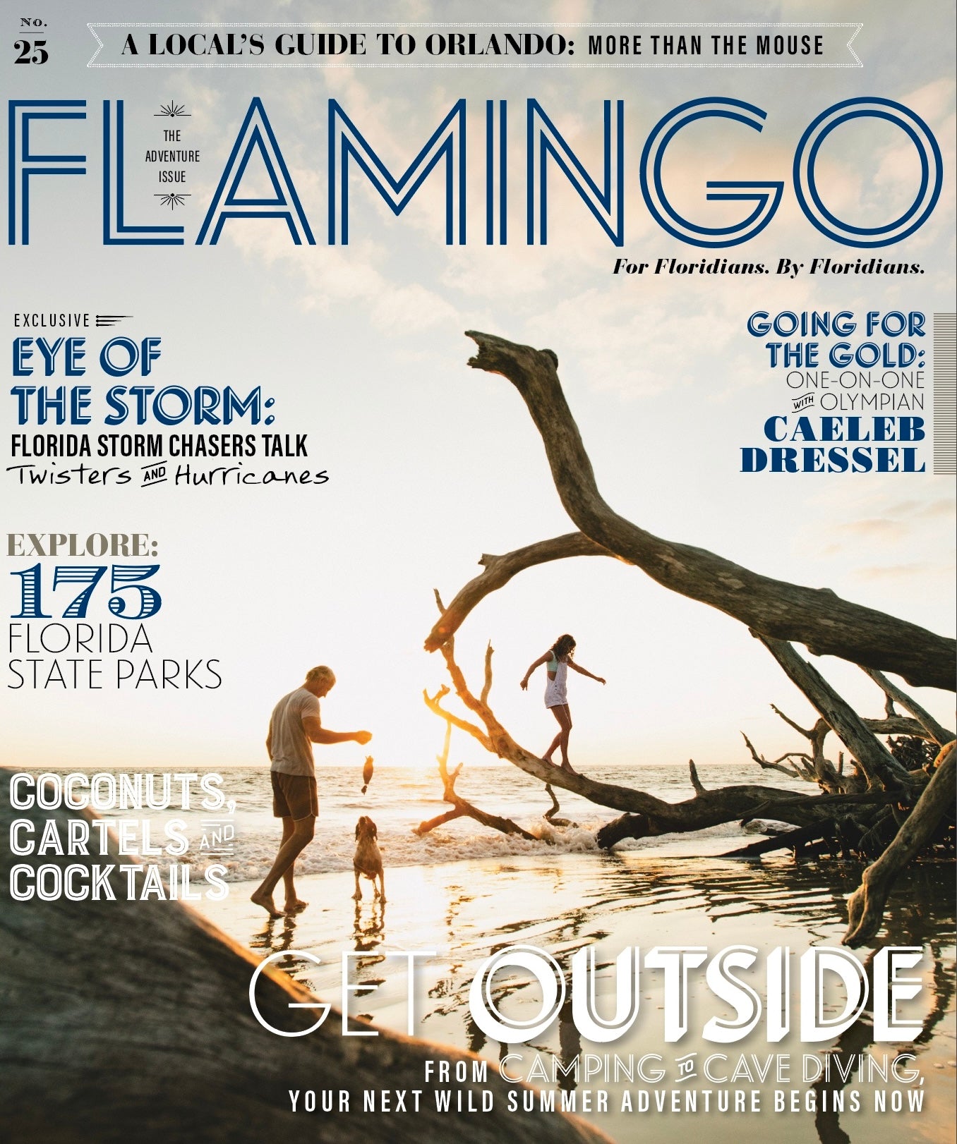 Flamingo Volumes 23, 24, 25 & 26