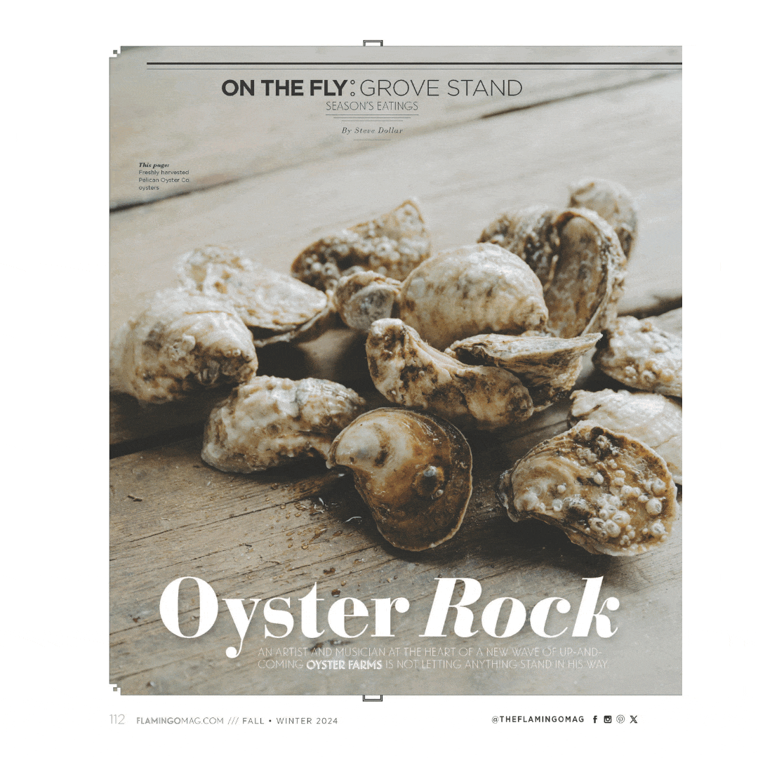 Flamingo Volume 26 // Fall/Winter 2024 Taste Issue