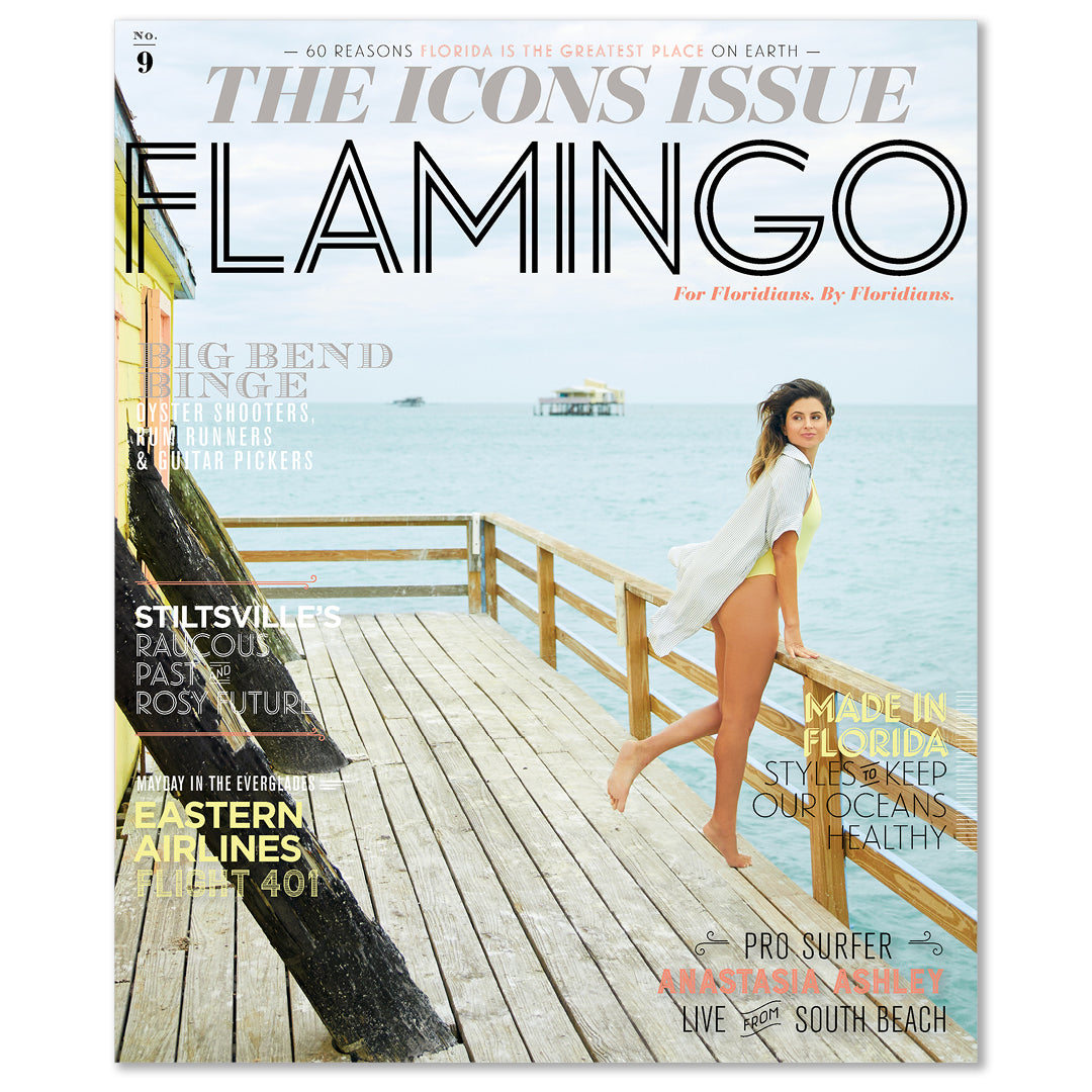 Flamingo Volume 09