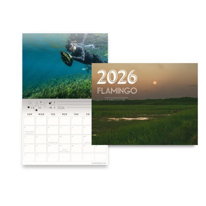 2026 Calendar