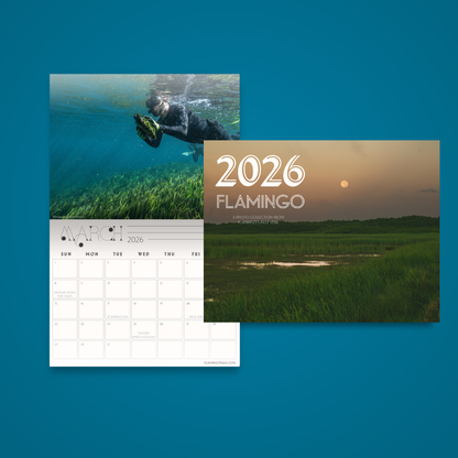 2026 Calendar