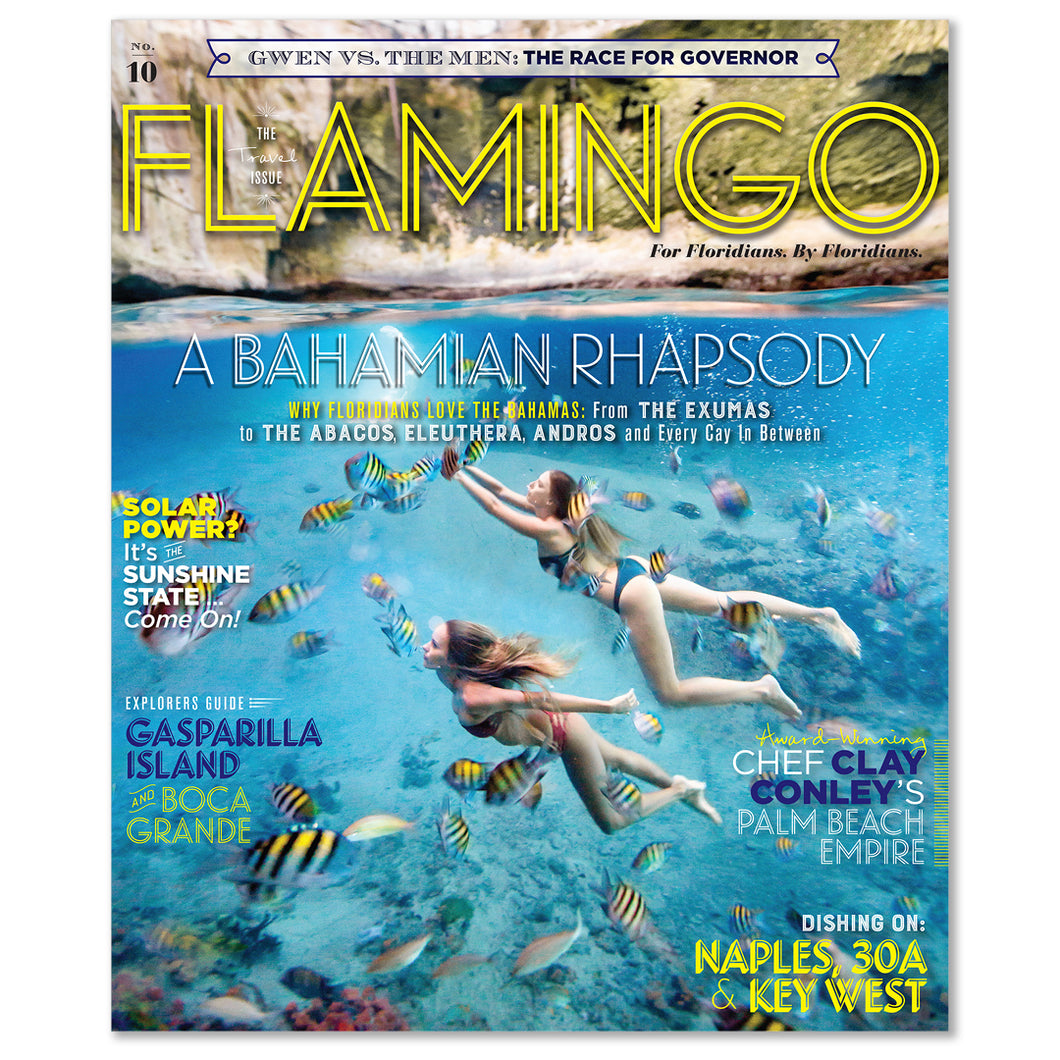 Flamingo Volume 10 // Summer 2018