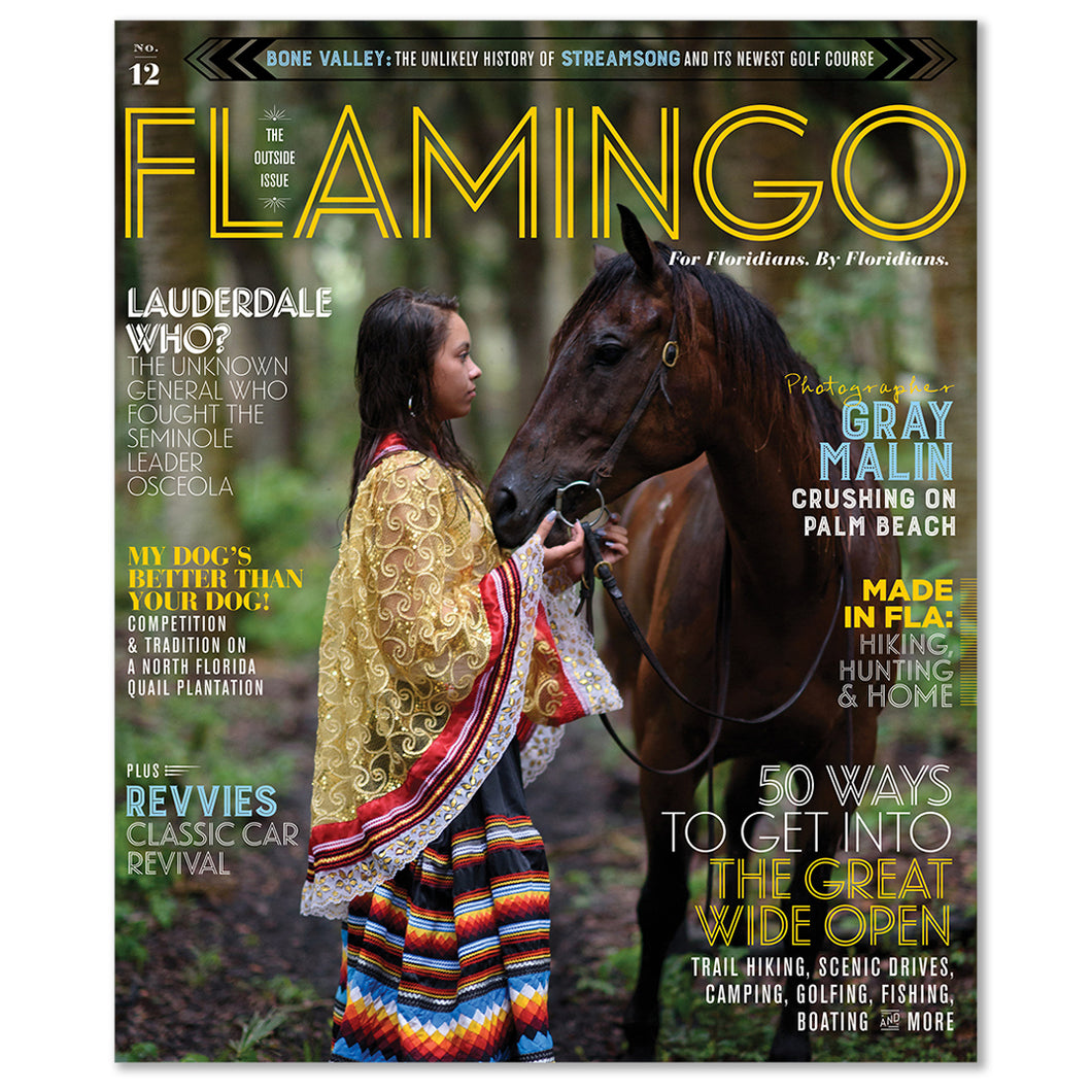 Flamingo Volume 12