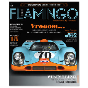 Flamingo Volume 17