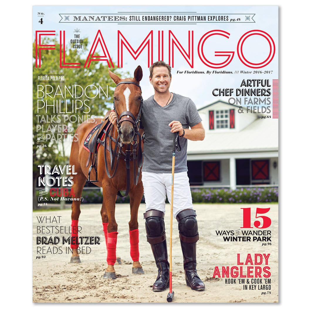 Flamingo Volume 04