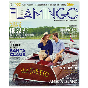 Flamingo Volume 08